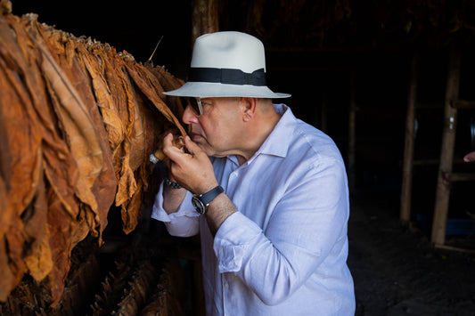 Premium Attaie cigars kept at the correct humidity for storage